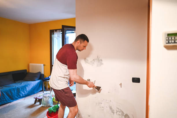 Best Local Mold Removal Service  in Mckees Rocks, PA